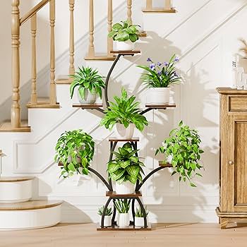 Amazon.com: CODACE Plant Stand Indoor with Grow Lights, 6